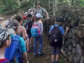 Waldpädagogiktag am 13. Juni 2019