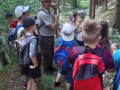 Waldpädagogiktag am 13. Juni 2019